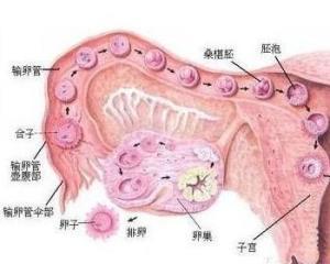 益盟操盘手怎么看美元指数