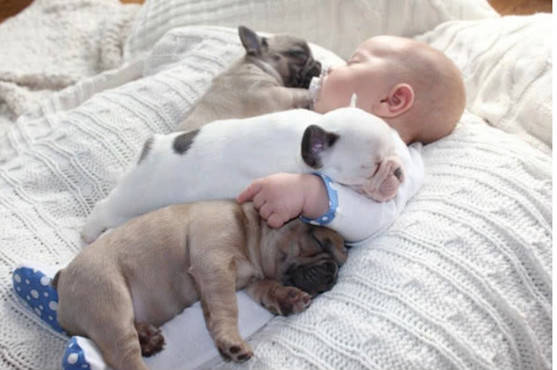 小奶狗和小宝宝快乐成长,睡觉都不忘腻在一起,画面温馨很感人