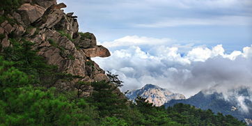 龟蒙山旅游景区附近酒店(龟蒙山附近的旅游景点推荐)