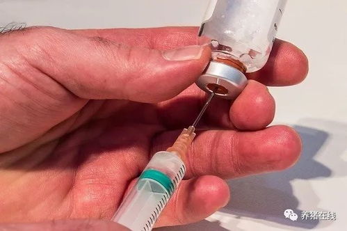 疫苗针头的使用