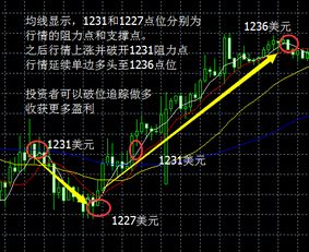 黄金走势图中怎么看上线、下线和均线、支撑点、阻力点呀？