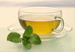 减肥茶什么茶更管用,什么减肥茶效果好?