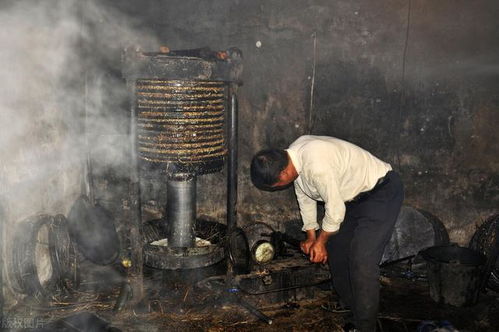 建筑行业残酷现状,包工头 不干饿死,干了亏死