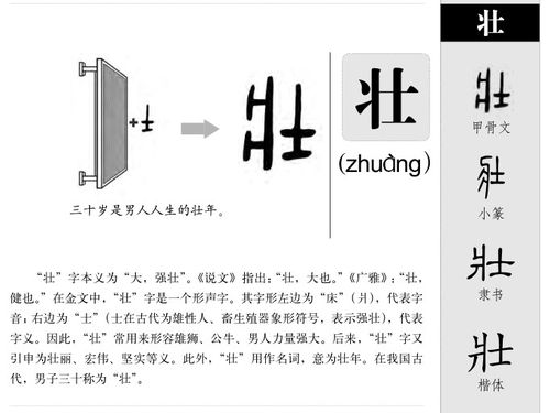 壮的意思 壮字五行属什么 壮字取名的寓意 