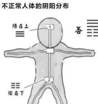 肾阳虚,阳气不足,精神不振,舌体胖大,如何补足阳气