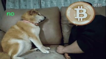 在GODBTC可以买狗币(DogeCoin)么？