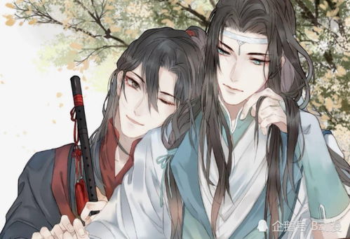 魔道祖师 魏无羡被蓝忘机冷落,一件事情 坑惨 景仪思追 