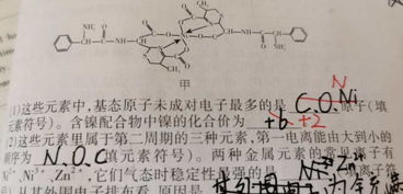 金属镍化合价为多少