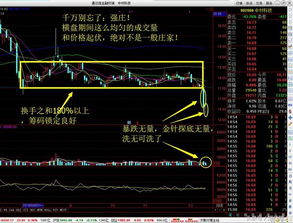 中材科技多少元补仓