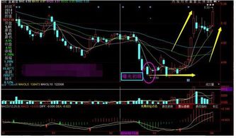 双星中间是1个代上影的阳线这叫甚么K线