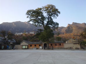 探访北京门头沟灵岳寺 