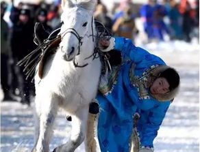 1月13日,西乌旗第十一届乌珠穆沁马文化节 