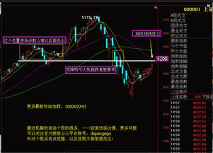 股票狂抛是什么意思