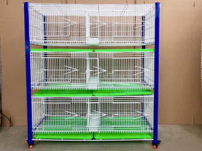 宠物笼鸽鸟笼繁殖笼巢箱台式笼台湾赛升信鸽配对笼展示笼三层6格产品展示 