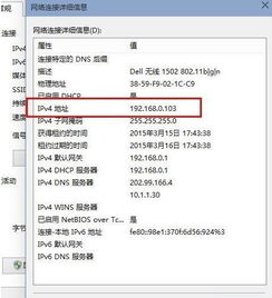 如何看win10的ip地址