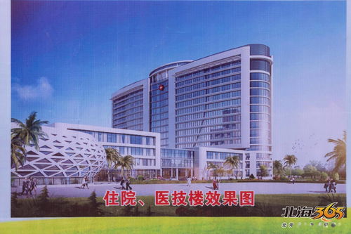 武汉协和重庆医院项目主体结构封顶 未来将建成国家区域医疗中心