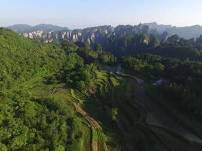 张家界单请导游 纯玩 游山玩水,看风景 