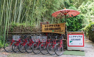 浙江竹林旅游景点