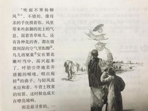 七年 春 ,看资深教师讲解全文和课后题,帮助学生学语文