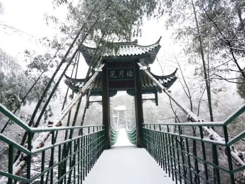 惊艳 明月山2018年初雪来了 终于可以发雪景朋友圈啦 