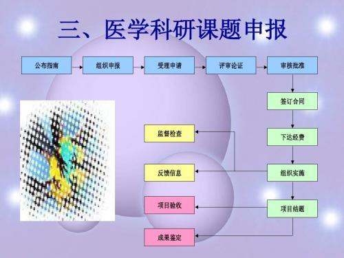 怎样申报医学科研课题 