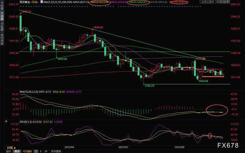 中国黄金交易所今日金价