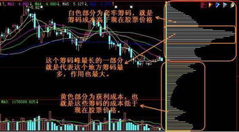 ipad上哪个炒股软件能看筹码分布