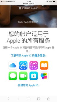 APP为什么全是英文的？