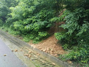 遵义城区多地暴雨 部分高速路段有泥石滚落