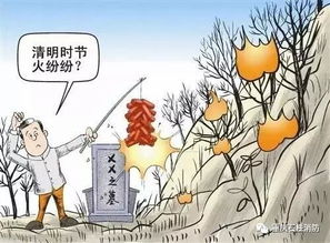 清明时节祭祖坟,注意环保与文明