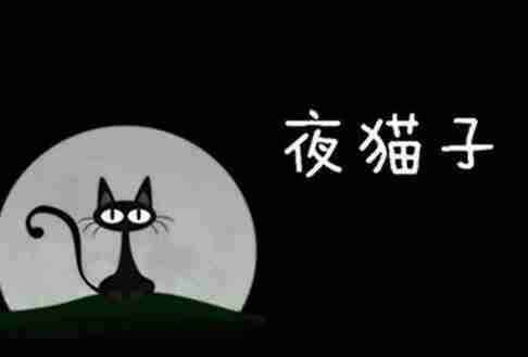 夜猫是什么意思 