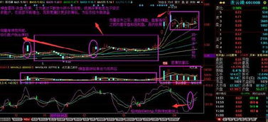 盘中缩量急跌说明了什么？是信心极其不坚定的人在跑？