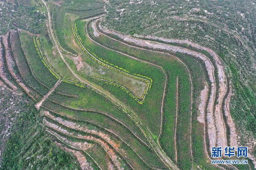 河北峰峰 百年矿区的 绿色转身 图片频道 