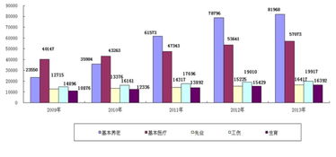 什么叫养老保险基金支出户？