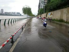我家又被水淹了 未来几小时柳州将出现警戒水位 