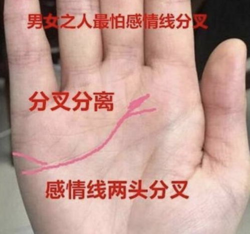 小拇指 决定你一辈子的财运福气怎么样,子女缘分如何,真准