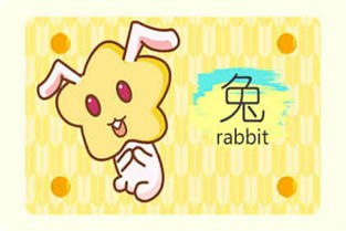五月兔是什么命 属兔的几月破月