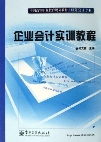 企业会计实训教学实施建议