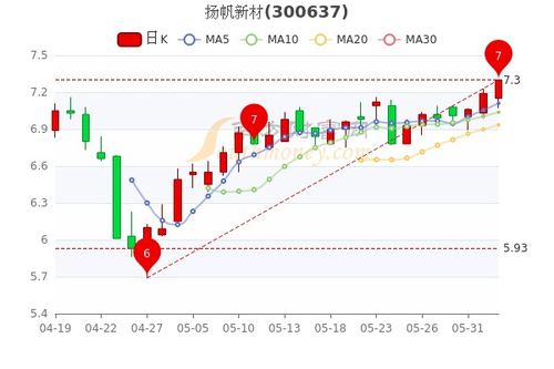 某支股票年初每股市场价值是15元，年底的市场价值是17元，年终分红2元，计算其收益率。