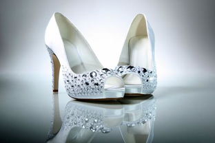 12星座女生的专属水晶鞋图片,十二星座所代表的水晶高跟鞋