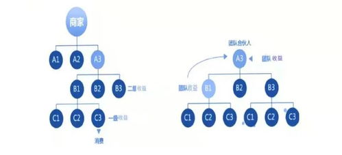 转化商业发展策略,打造全国供应链体系