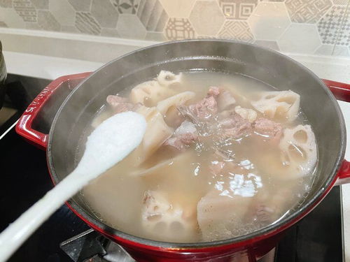 秋季养生,这几种食物最养人 莫莫 