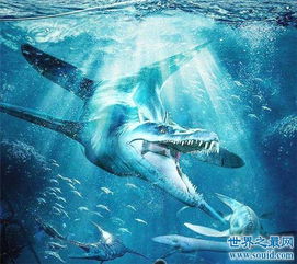 梅尔维尔鲸堪称世界上最凶猛的鲸鱼,取名来自于小说 