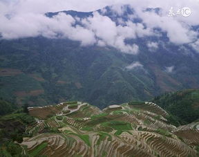 龙脊梯田最佳旅游时间,价值1000元 