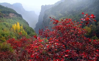 龙泉烟花哪里看 梨树源大峡谷要门票吗(凤阳春节停车场免费吗今天)