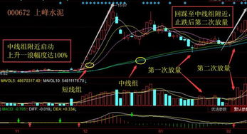 千元炒股智能交易华林证券发布新版海豚股票App