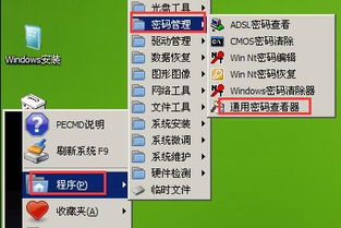 pe下怎么查看开机密码win10