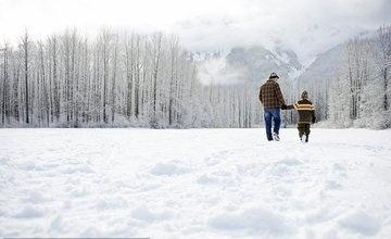 成语 大雪纷飞 的意思是什么 你是如何理解的