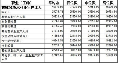 浙江地区一般公司统计工资是多少？（中等大小的企业）