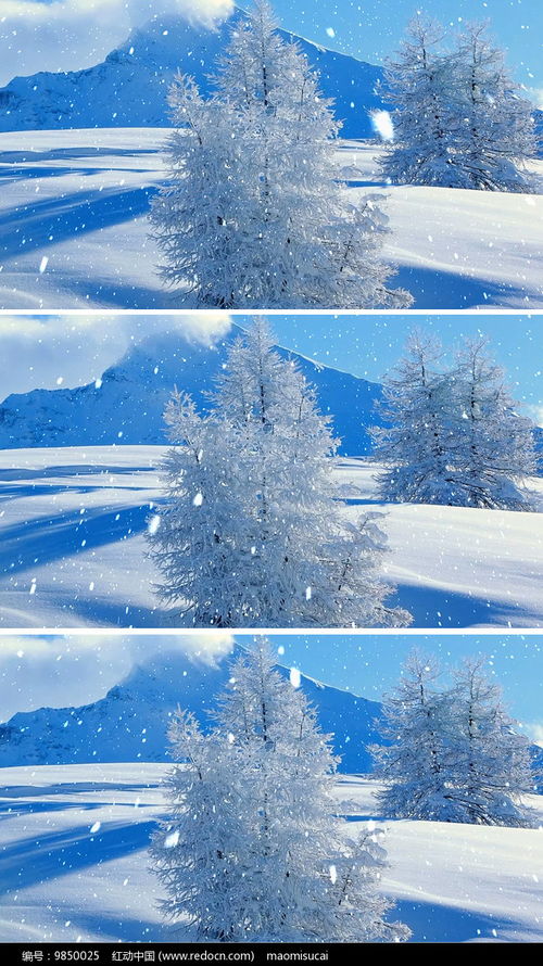 下雪动态手机壁纸风景 搜狗图片搜索